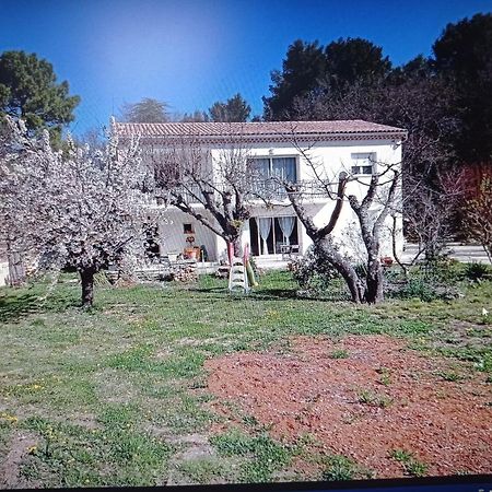 La Maison De Papou La Vigne A Nans Les Pins 83860 Buitenkant foto