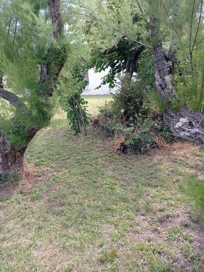 La Maison De Papou La Vigne A Nans Les Pins 83860 Buitenkant foto