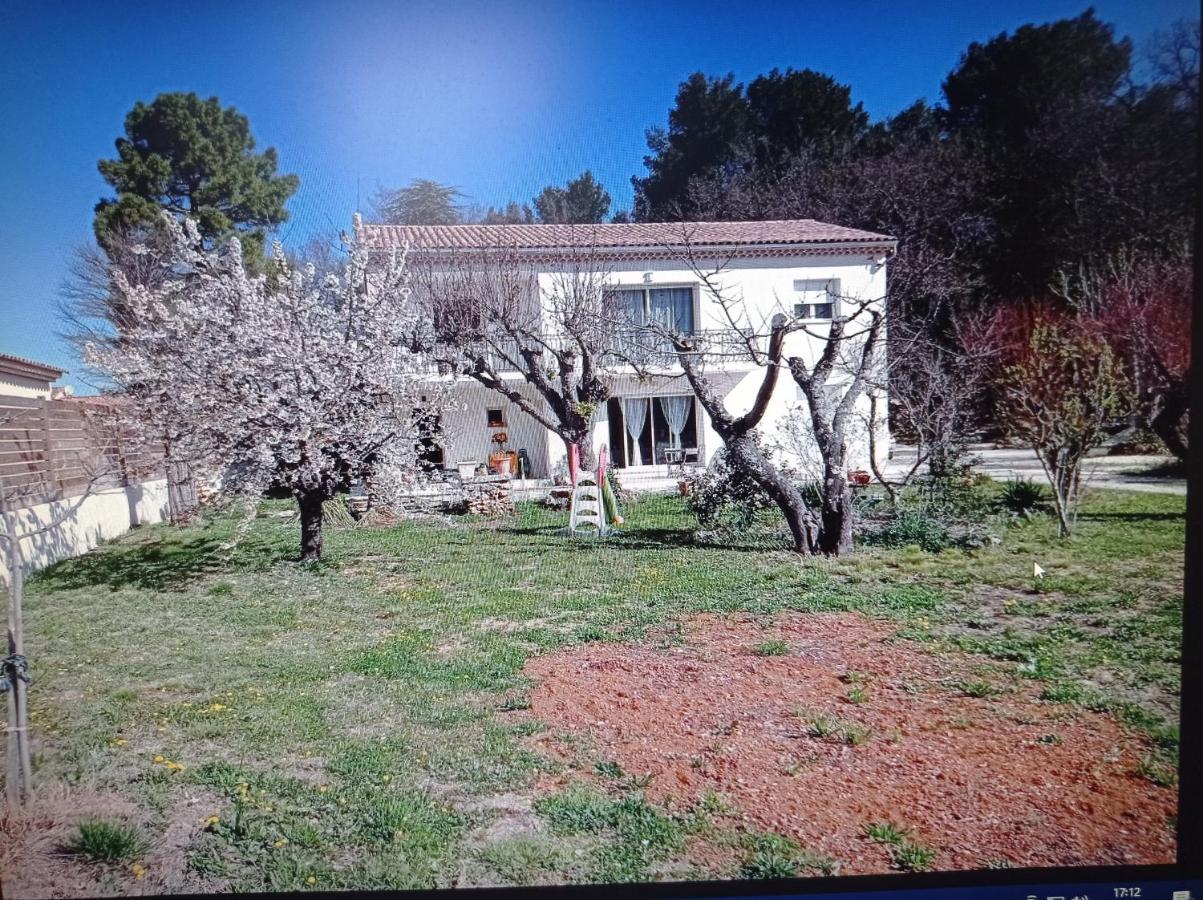 La Maison De Papou La Vigne A Nans Les Pins 83860 Buitenkant foto